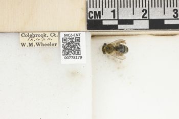 Media type: image;   Entomology 778179 Aspect: Labels